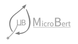 MicroBert